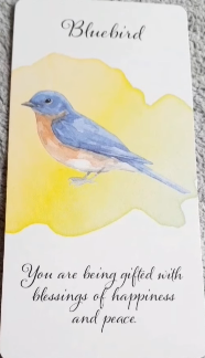 Divine Feather Messenger